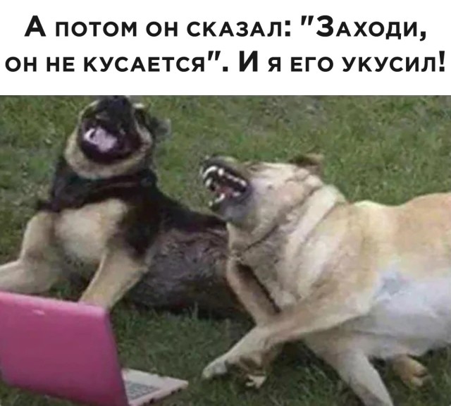 Так себе картинки 31.05.2020