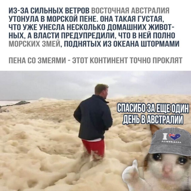 Картинки и мемы для настроения 021