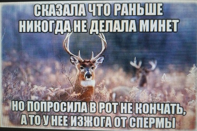 Усыновил сына жены от прошлого брака. Теперь плачу на него алименты