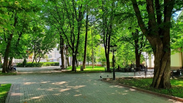Брянск – город удивительно адекватных людей
