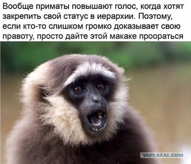 Главное, это уважение к сопернику
