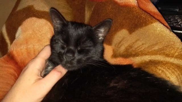 Веселые засранцы