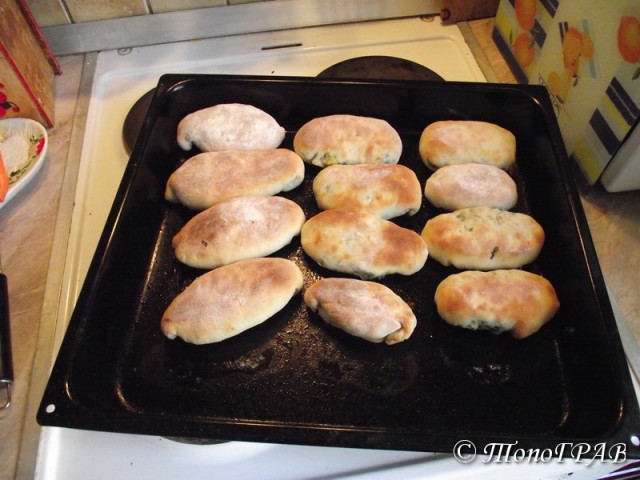 Пятничные посиделки на теплотрассе ©