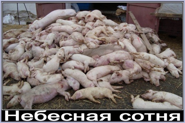 Годовщина Майдана!