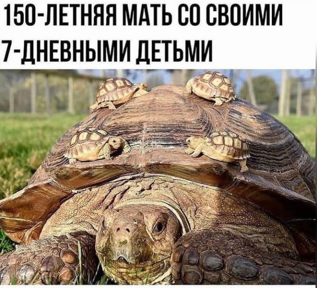 Так себе картинки 13.12.21