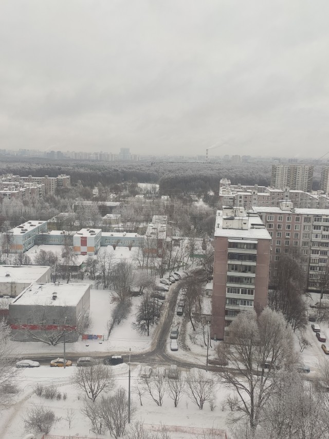 Первое января глазами непьющего человека