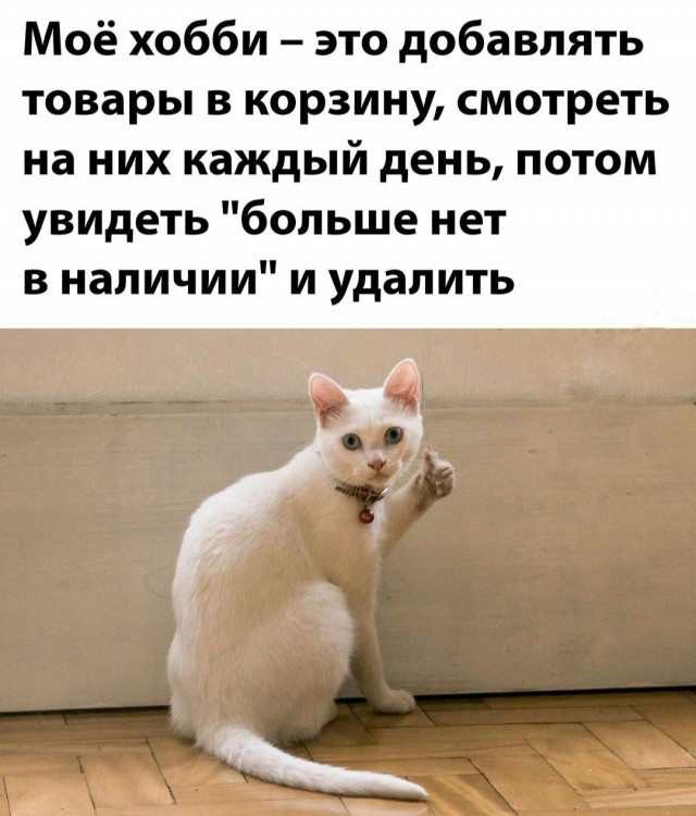 Так себе картинки 24.04.22