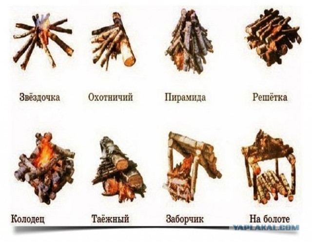 Вот это я понимаю - отдых на природе!