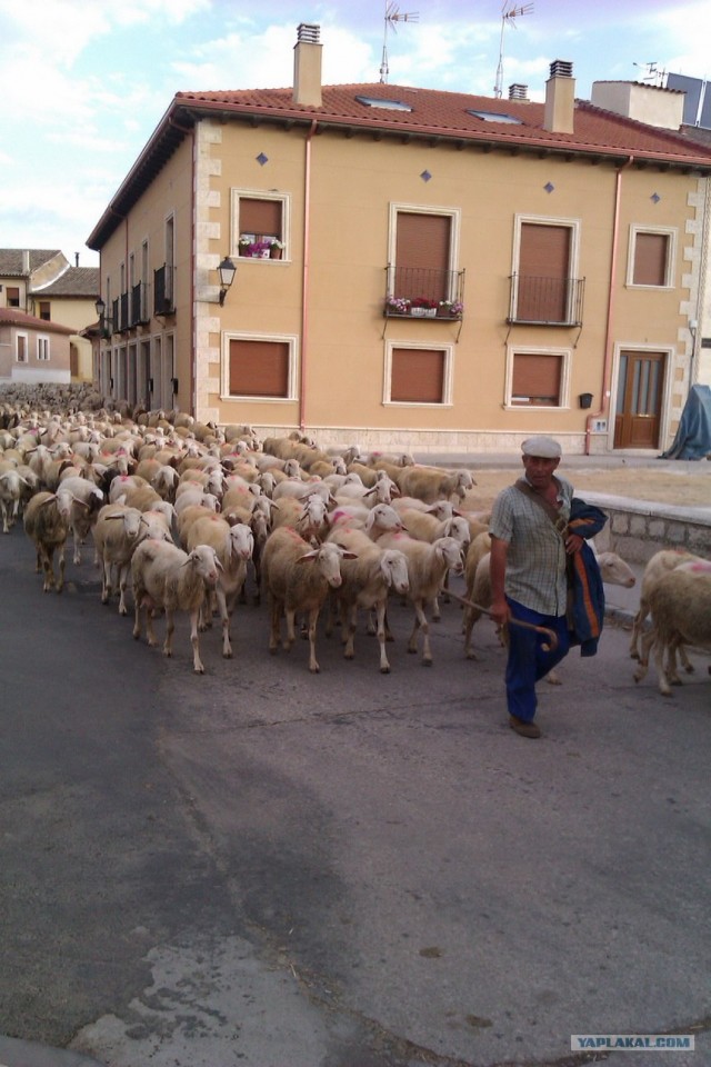 500 км. по Испании пешком