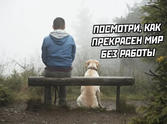 Просто картинки 26.08.22