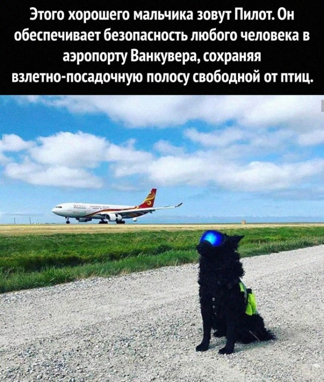 Картинки и мемы, всем хороших выходных