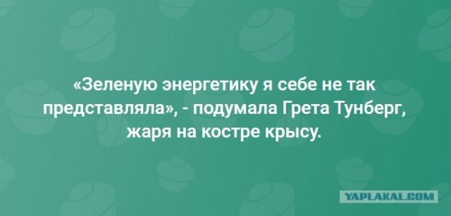 «Необразованная девочка»: в чём конкретно неправа Грета Тунберг