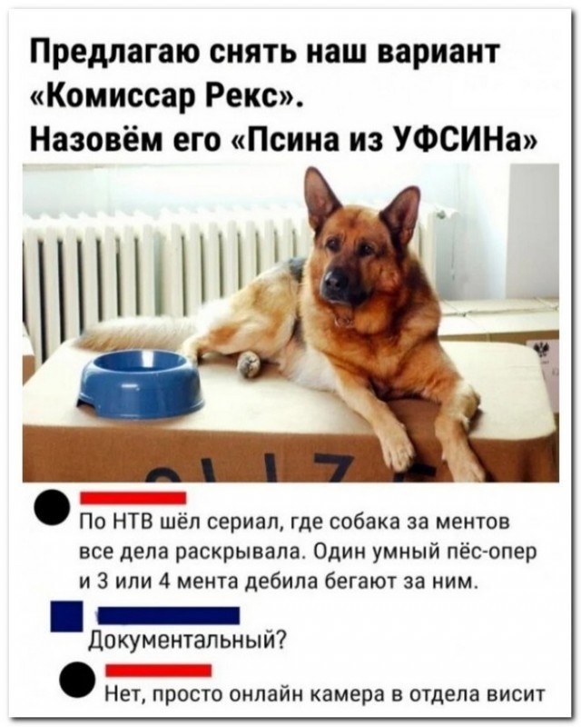 Забавные комментарии из социальных сетей (17.10.22)