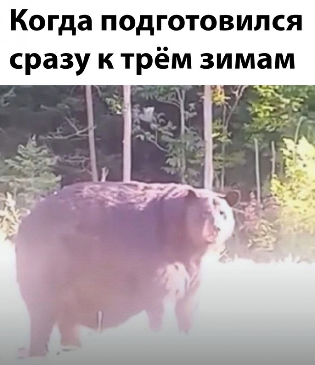 Картинки и мемы для настроения - 119