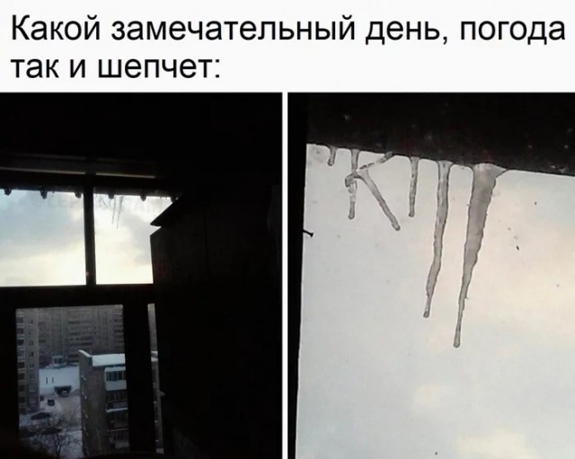 Так себе картинки 24.12.22