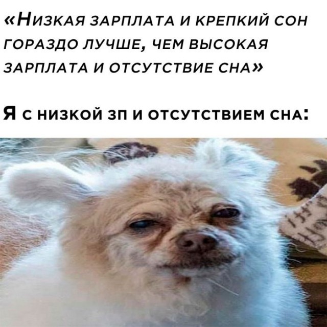 Картинки и мемы, всяко разно - 185