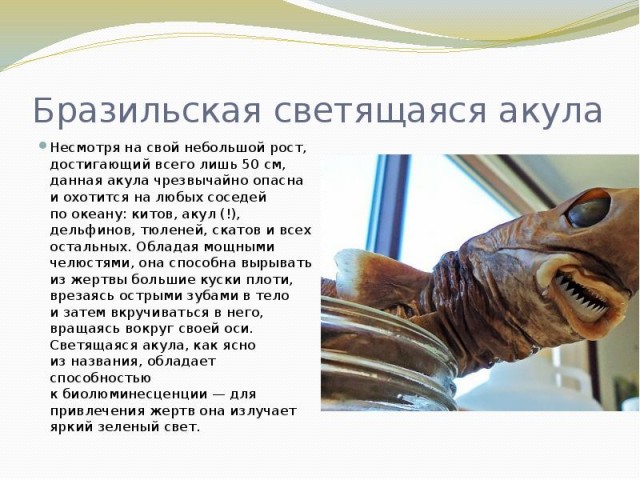 Рыбка к пиву