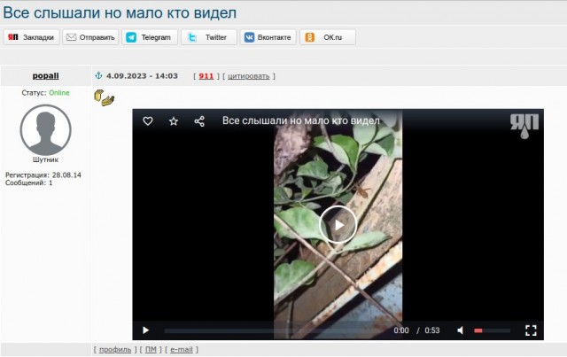 Все слышали, но мало кто видел