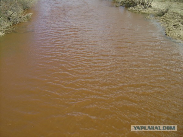 Им здесь зарабатывать, а нам здесь помирать.