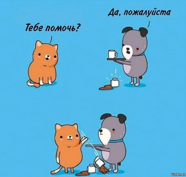 Всего понемногу. От 25.02.24