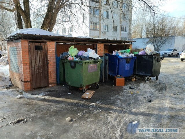 Свободные и счастливые