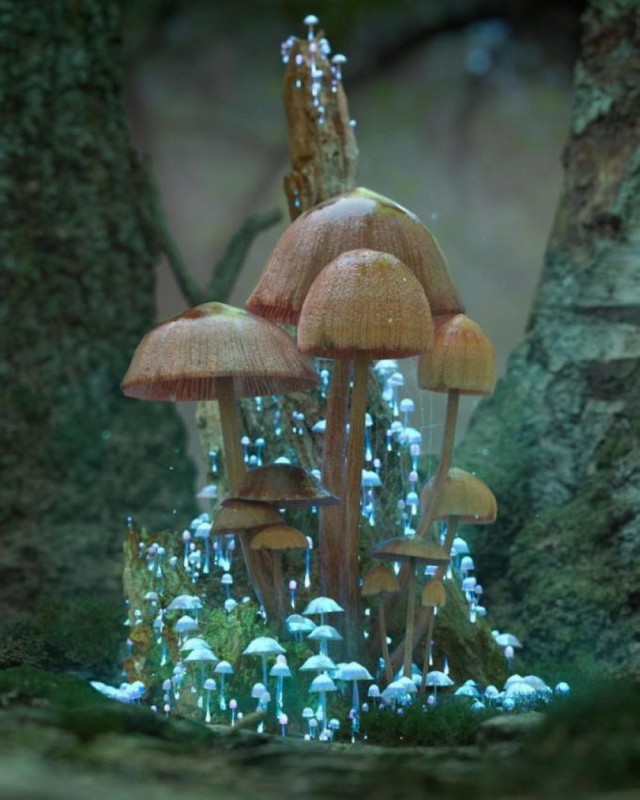 ФотоВинегрет из 60 пикч