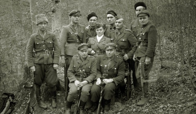 Операция «Запад», 1947 год, Западная Украина