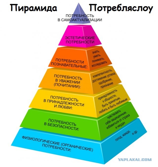 Пирамида Маслова, 5 фактов