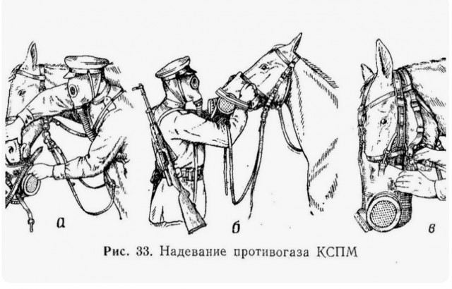 Кто?! Конь в пальто