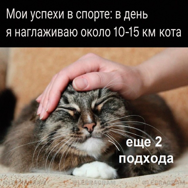Так себе картинки 10.07.24