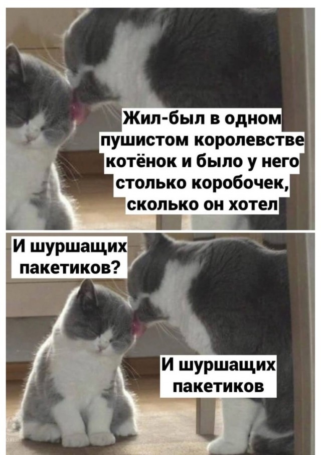 Так себе картинки 16.07.24