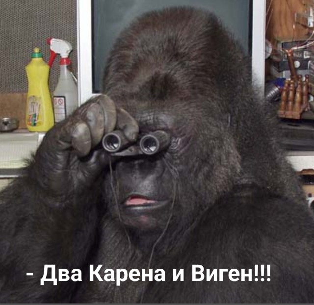 В Краснодарском крае трое мужчин упали с гидроцикла и утонули. Они лихачили без спасательных жилетов
