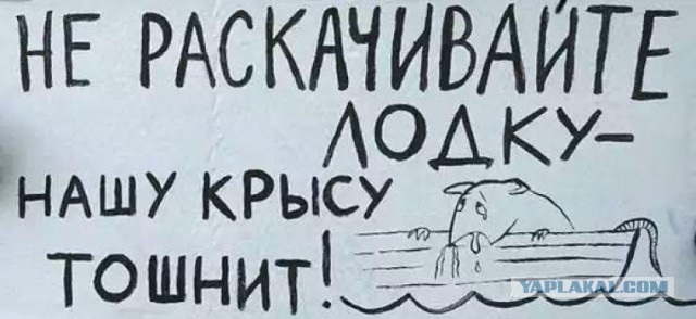 А что с Шойгу?