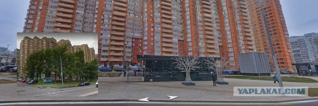 Жители запада Москвы организовали дежурства, чтобы защитить свой район от вырубки деревьев.