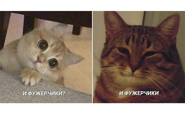 Вучич пересказал ответ Путина на идею о прекращении огня на Украине