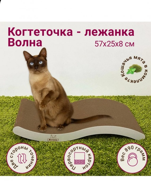 Купила кошке ковëр