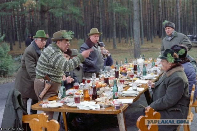 10 ноября 1982 года