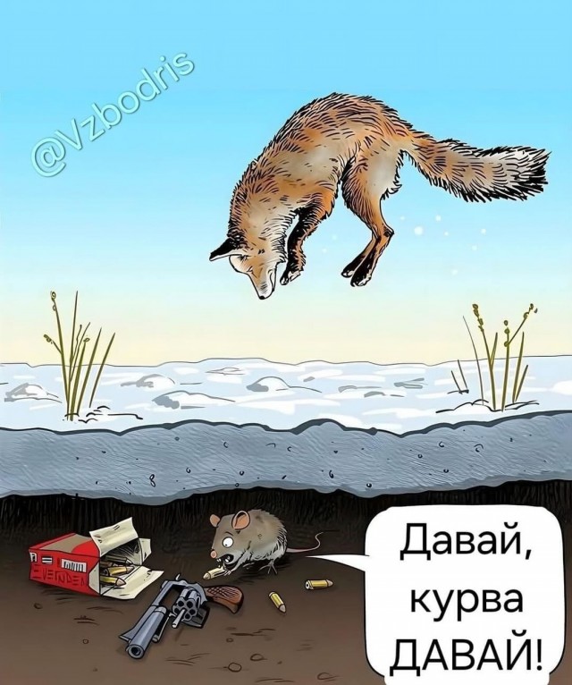 Завалялось тут случайно немного забавных картинок
