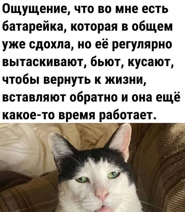 Картинков разных вам..