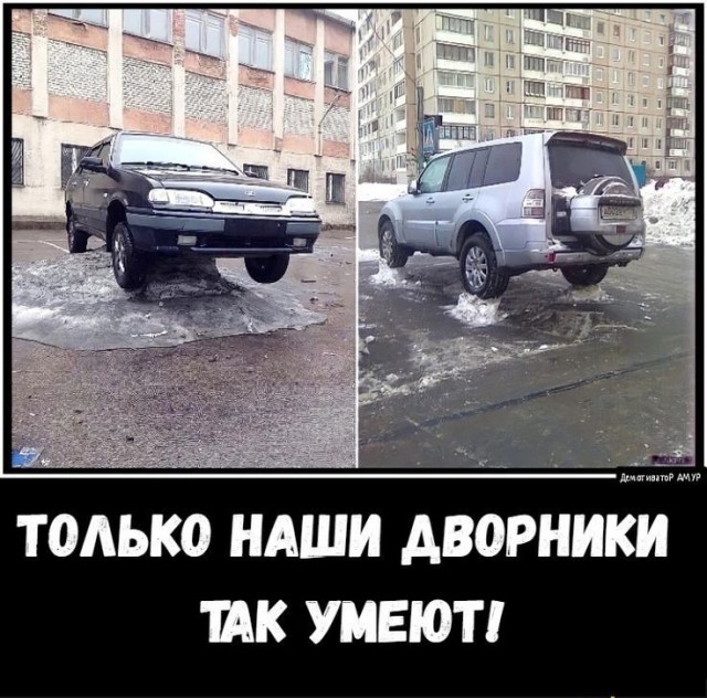 Веселые картинки в понедельник (10.02)