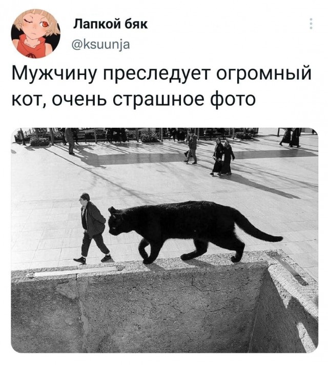 Так себе картинки 26.02.25