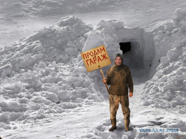 Профотожабте пожалуйста