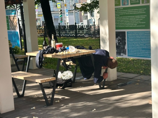 Шахматная партия