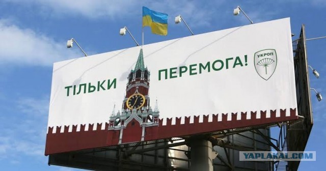336 тыс человек подписали контракт с Минобороны в 2025 году