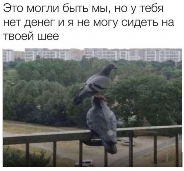 Картинки среды