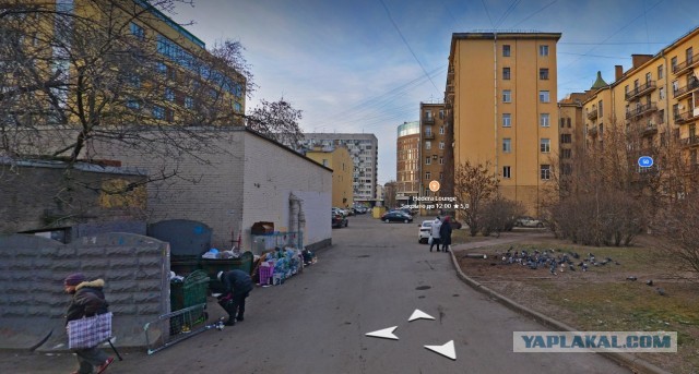 Они гуляют вместе
