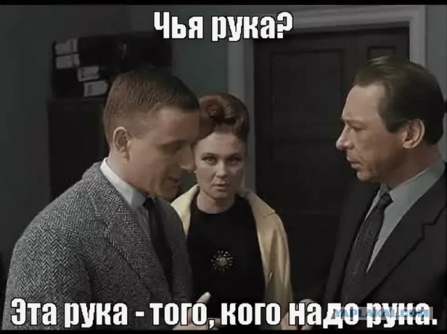 Мигранты-строители рванули в лес во время полицейского рейда в Ленобласти
