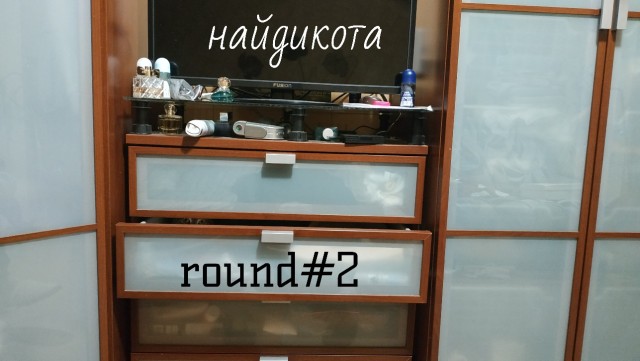 Найди кота