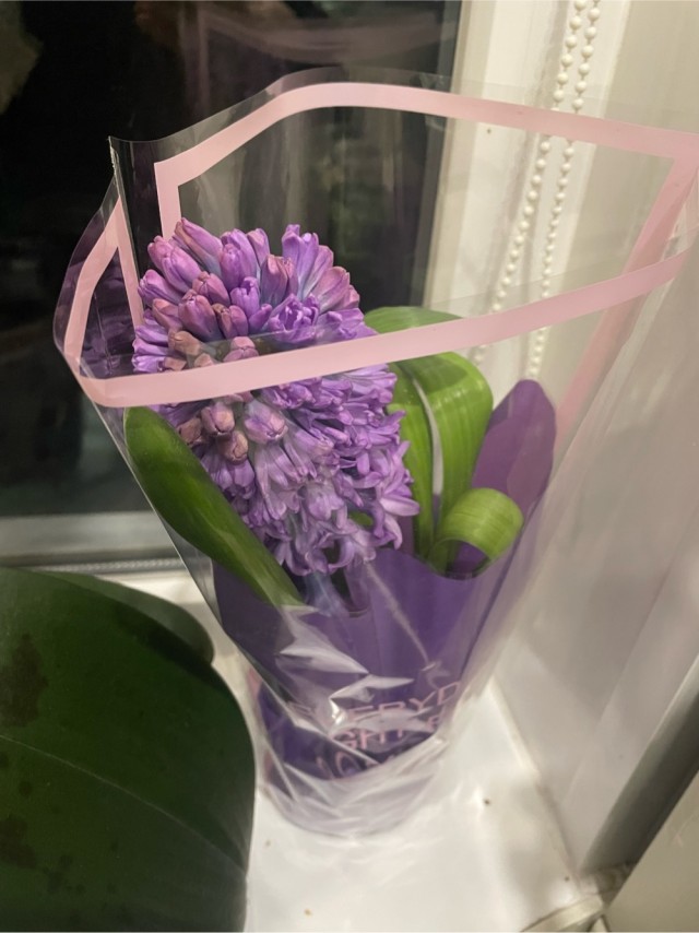 8-е мать его марта, кого как ваши бабы обосрали сегодня