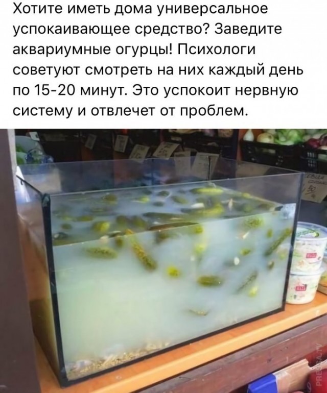 Субботние картинки